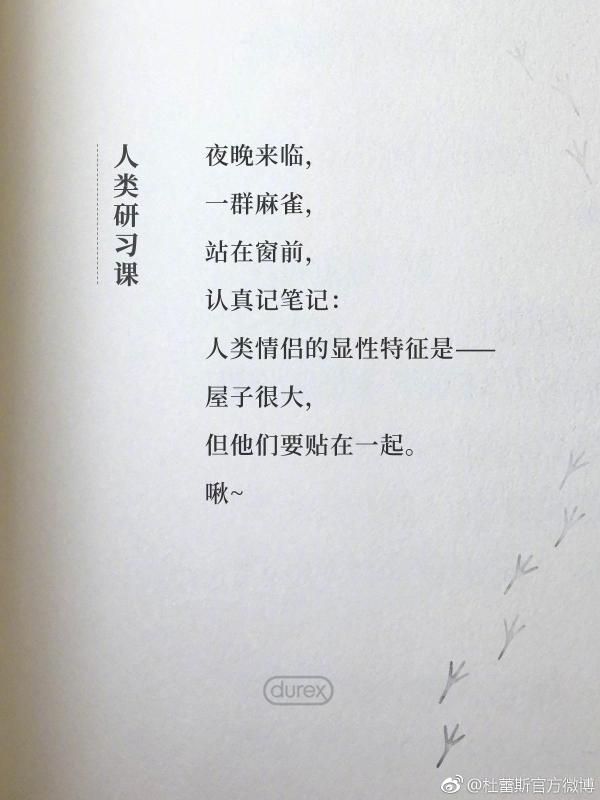 看，人类在干嘛